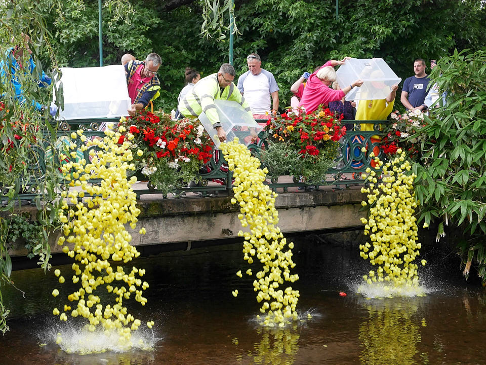 Dawlish Celebrates Carnival Duck Race